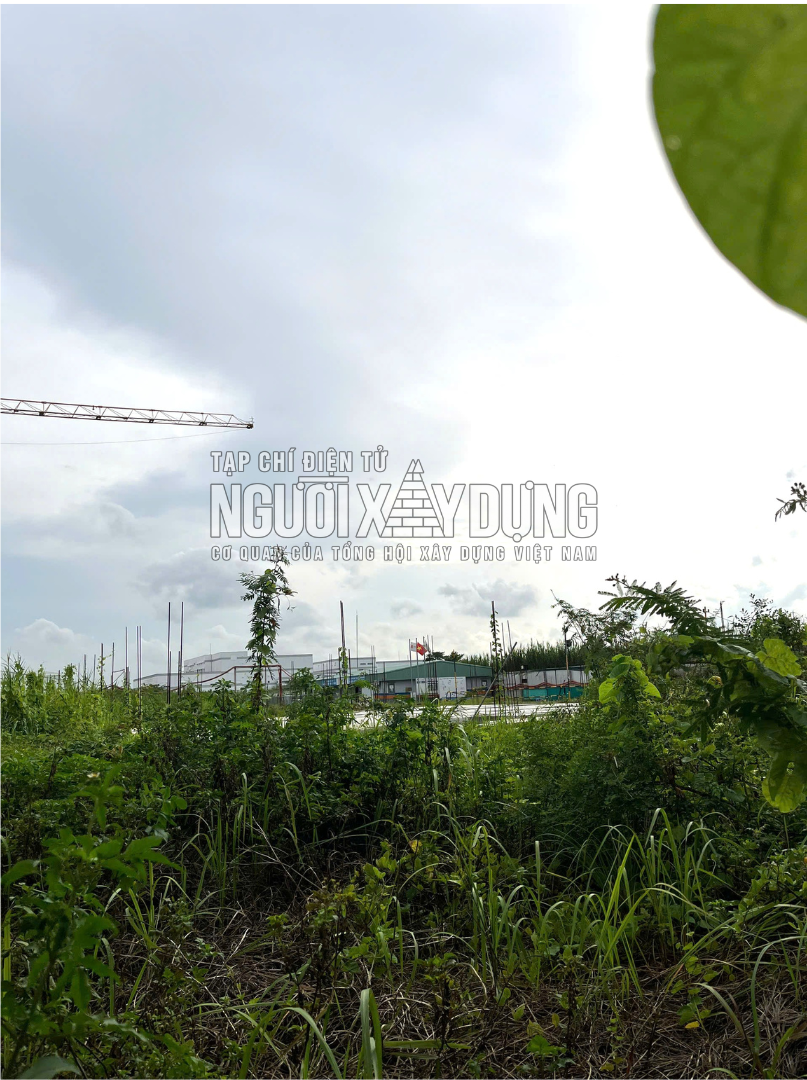 04-1788492114-hien-trang-kho-tin-tai-du-an-may-san-xuat-sinh-pham-tu-huyet-tuong-dau-tien-cua-viet-nam