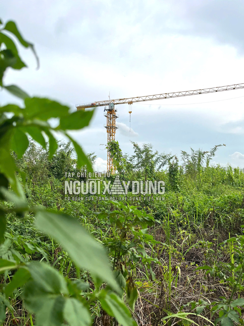 04-1788492114-hien-trang-kho-tin-tai-du-an-may-san-xuat-sinh-pham-tu-huyet-tuong-dau-tien-cua-viet-nam