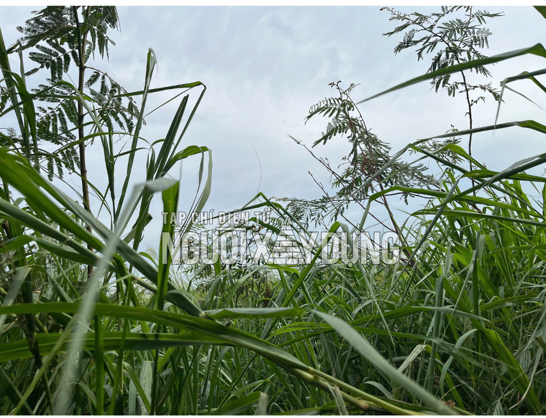 04-1788498670-hien-trang-tai-du-an-nha-may-duoc-pham-fgi-sau-hon-9-thang-duoc-chap-thuan-quy-hoach