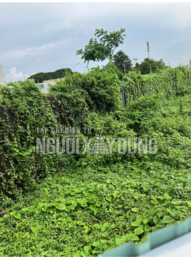 29-1790649607-cham-tien-do-xay-dung-nha-may-ca-vu-phong-tech-duoc-pham-bivid-va-fgi-deu-bi-xu-phat