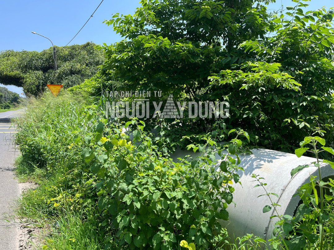 02-1790924980-vang-bong-cong-nhan-may-moc-tren-cong-truong-xay-dung-tan-thuan-hoan-my-nang-luc-ra-sao