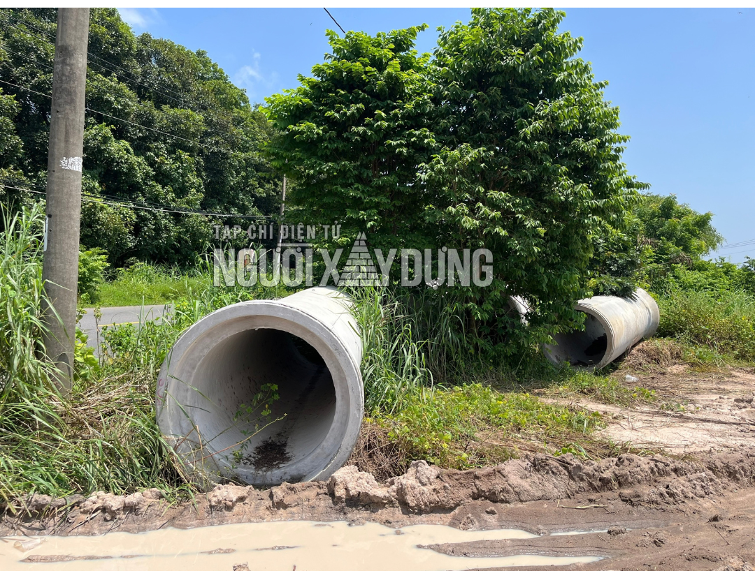 02-1790924981-vang-bong-cong-nhan-may-moc-tren-cong-truong-xay-dung-tan-thuan-hoan-my-nang-luc-ra-sao