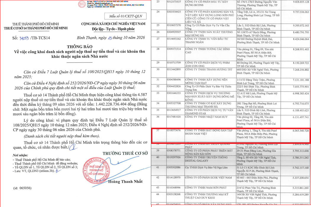 23-1792740438-nam-viet-group-nha-moi-gioi-bat-dong-san-xuat-sac-chau-a-thai-binh-duong-no-thue