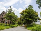 Đề xuất áp thuế 0,2% với đất bỏ hoang, không áp dụng hạn mức