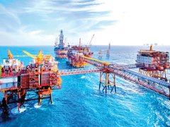 Đọc nhanh bài viết 1185478