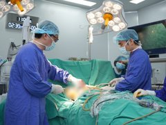Đọc nhanh bài viết 1186228