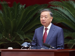 Đọc nhanh bài viết 1186610