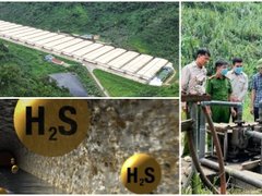 Đọc nhanh bài viết 1187880