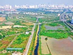 Đọc nhanh bài viết 1188148