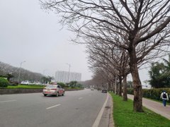 Đọc nhanh bài viết 1188937