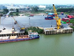Đọc nhanh bài viết 1195229