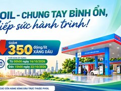 Đọc nhanh bài viết 1195991