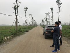 Post cover 1177639