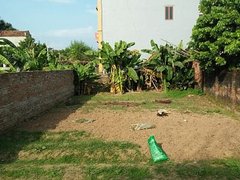 Post cover 1173466