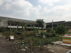 Post cover 1174805