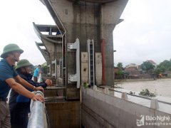 Post cover 1172884