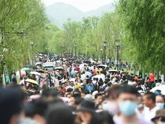 Post cover 1173457