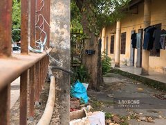 Post cover 1174083