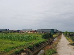 Post cover 1176427