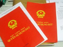 Post cover 1173062