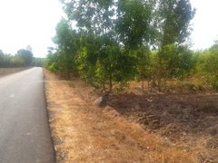 Post cover 1176450