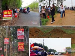 Post cover 1175076