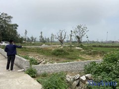 Post cover 1173707