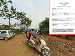 Post cover 1173726