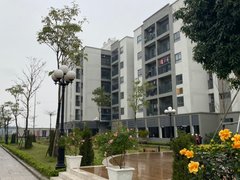 Post cover 1176477