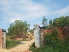 Post cover 1173608