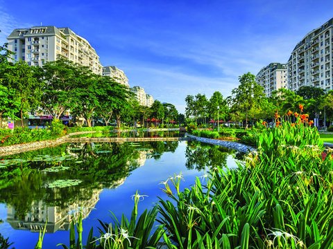 Ảnh bài viết