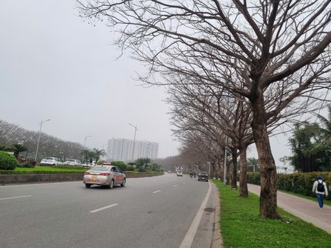 Ảnh bài viết