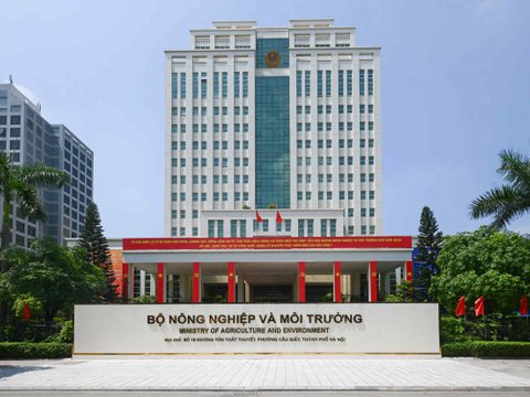 Ảnh bài viết