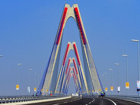 Ảnh bài viết
