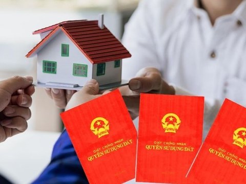 Ảnh bài viết