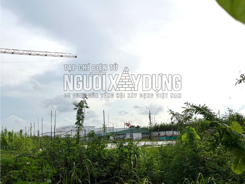Ảnh bài viết
