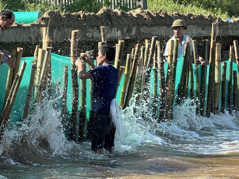 Ảnh bài viết