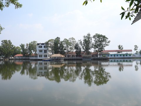 Ảnh bài viết