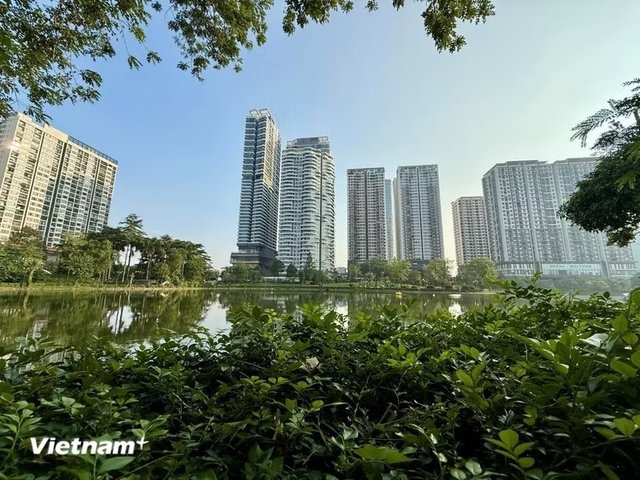Ảnh bài viết