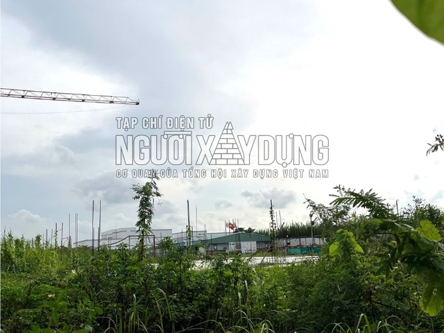 Đọc nhanh bài viết #1194075